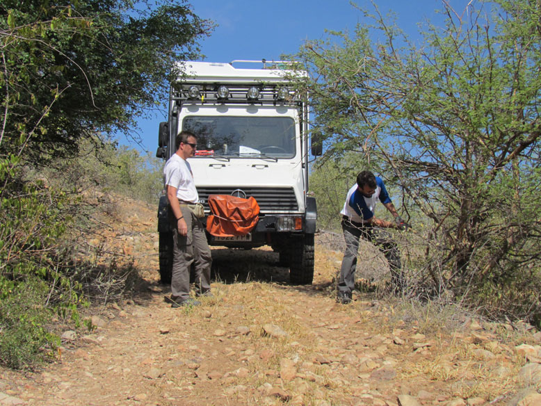 Abrindo paso en el Parque Nacional Mopungubwe